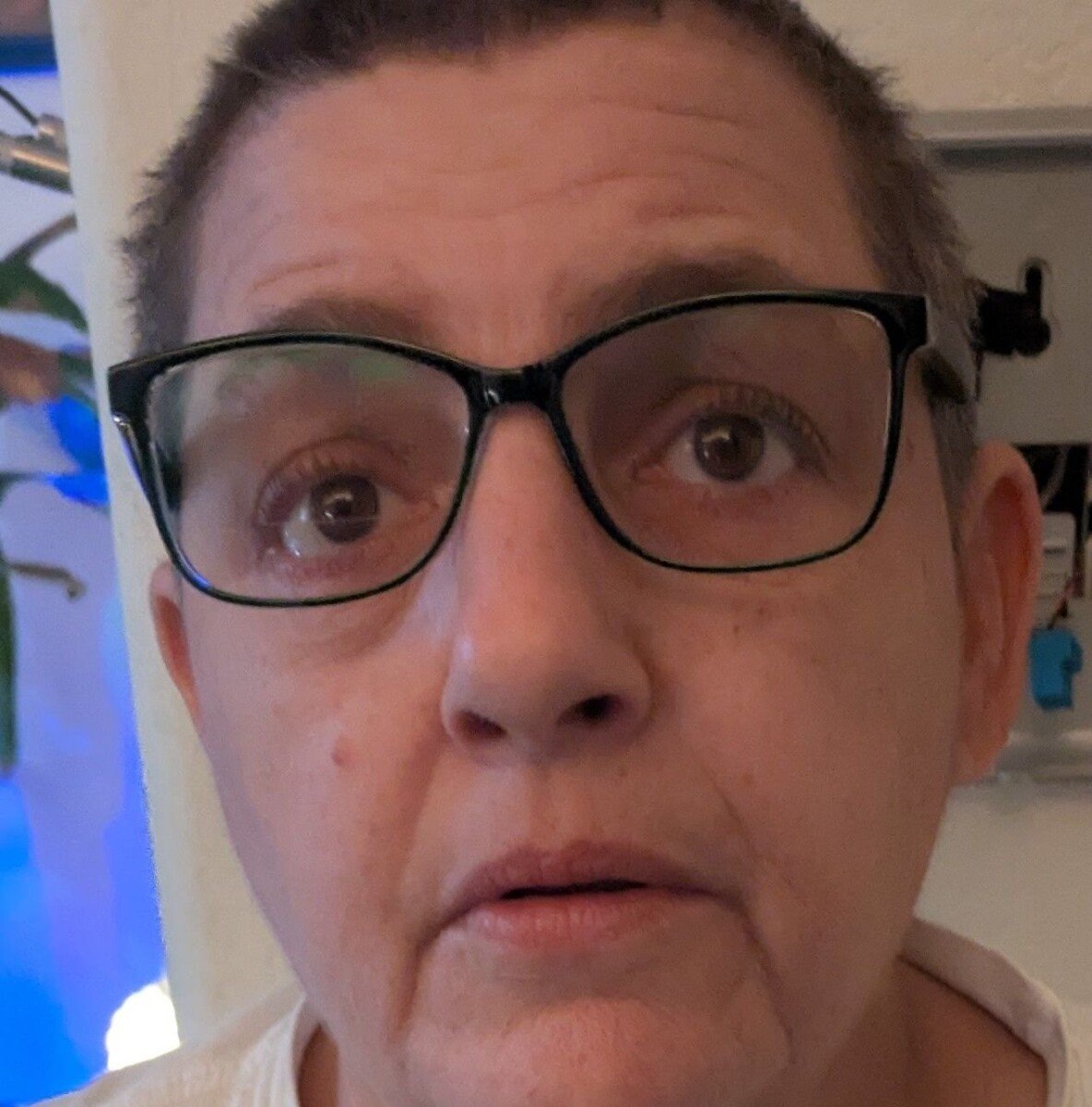 506482272_720344273879619_1211694363785879846_n